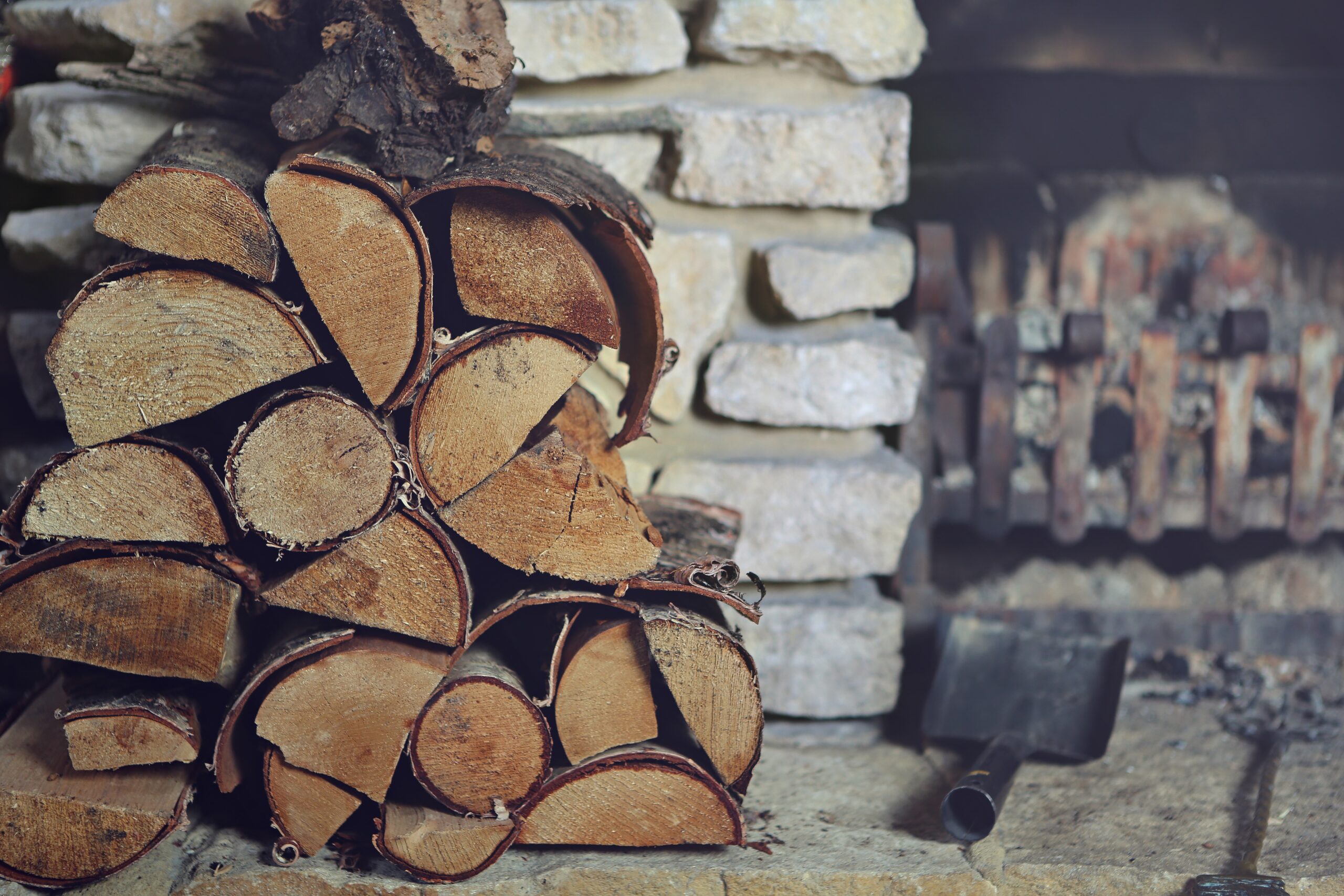 Keep Your Wood Pile Pest-Free