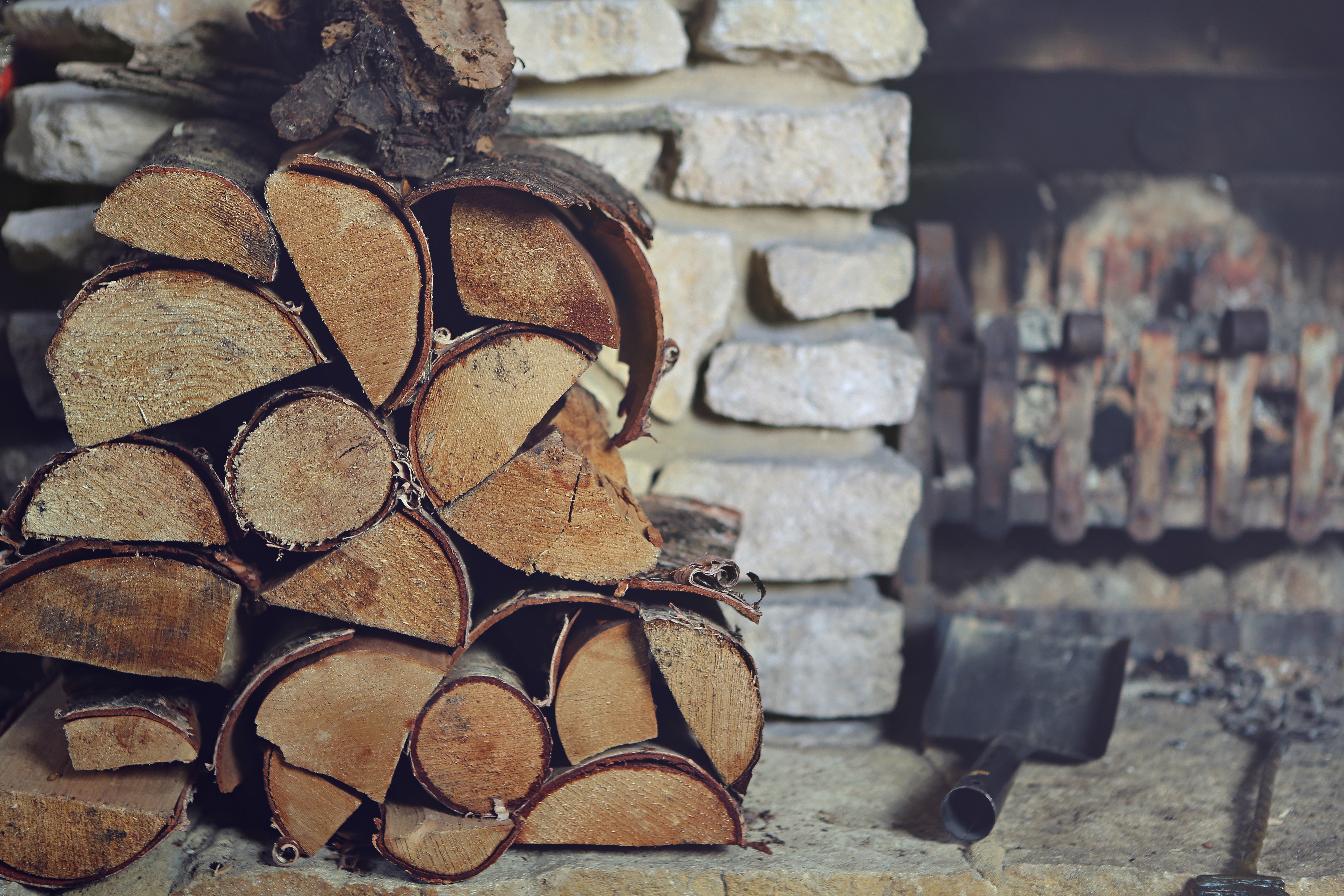 Keep your Wood Pile Pest-Free