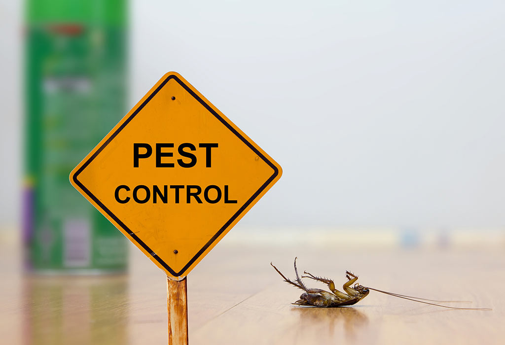Benefits of a Pest Control Service 