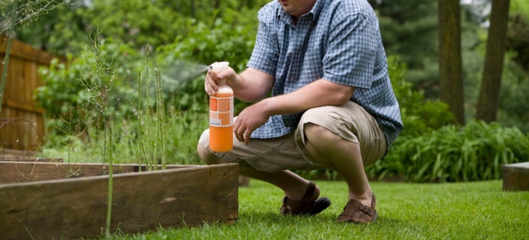 A person spraying their garden with pest control spray to protect their house