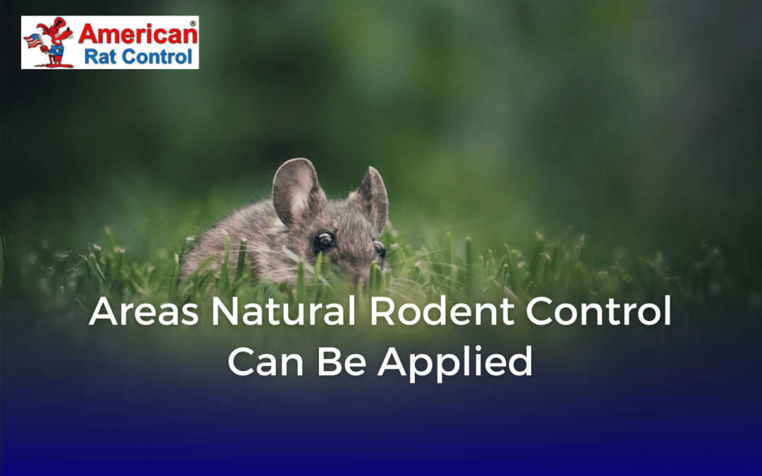 Areas Natural Rodent Control Can Be Applied