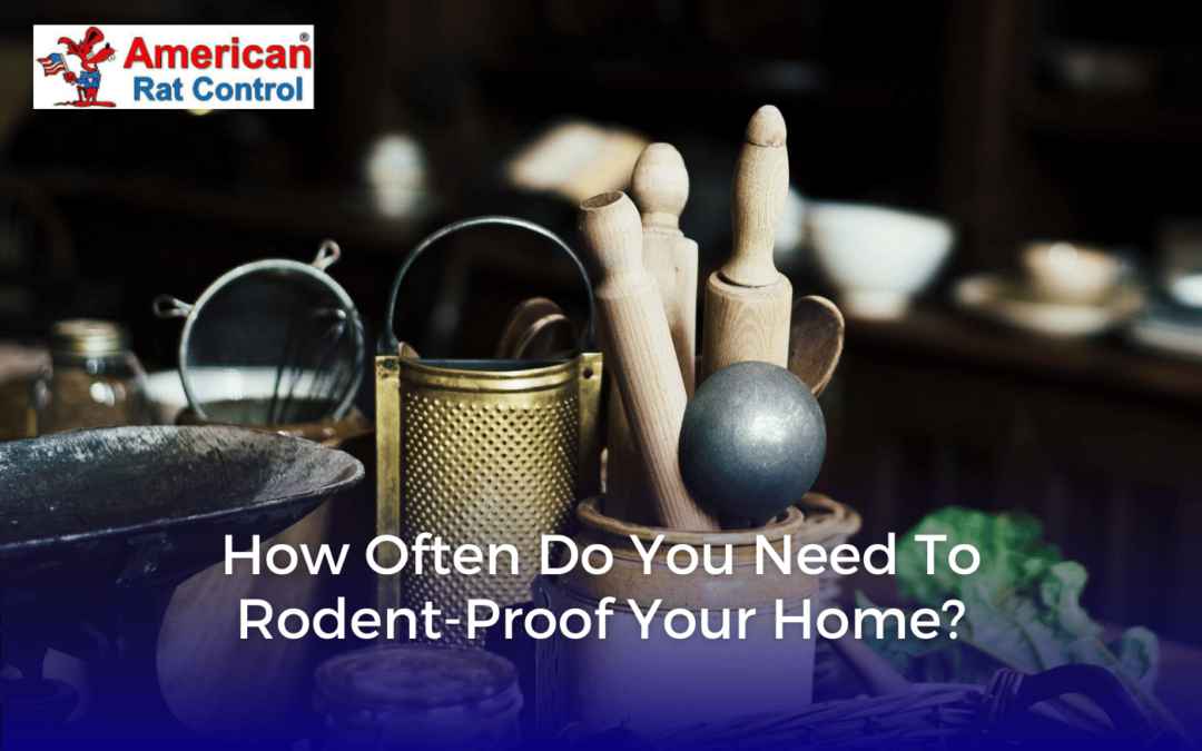 How Often Do You Need to Rodent-Proof Your Home?