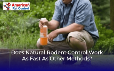 Does Natural Rodent Control Work As Fast As Other Methods?